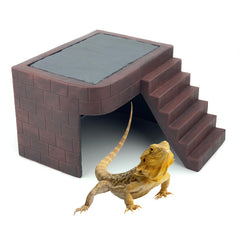 ZXUAQNOE grande plateforme dragon-barbu pour exposition UVB sécurisée