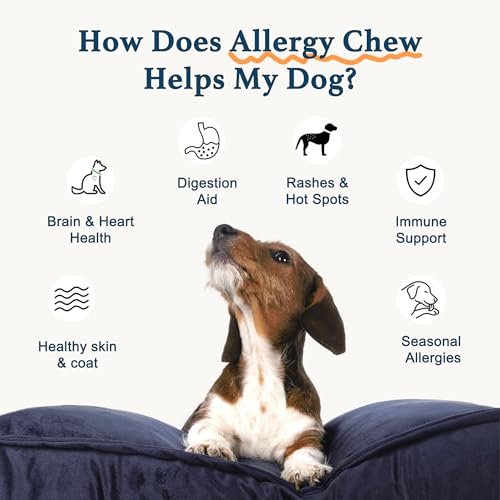 Friandises probiotiques ZyBeauty pour chien, soutien digestif et immunitaire.