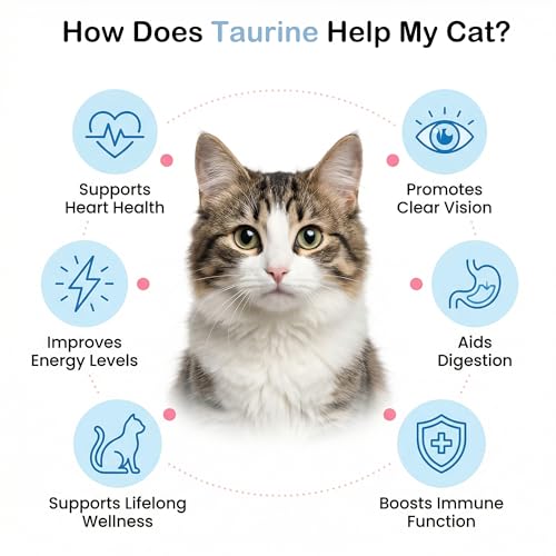 zybeauty Taurine pour chats — doseur inclus pour des dosages précis.