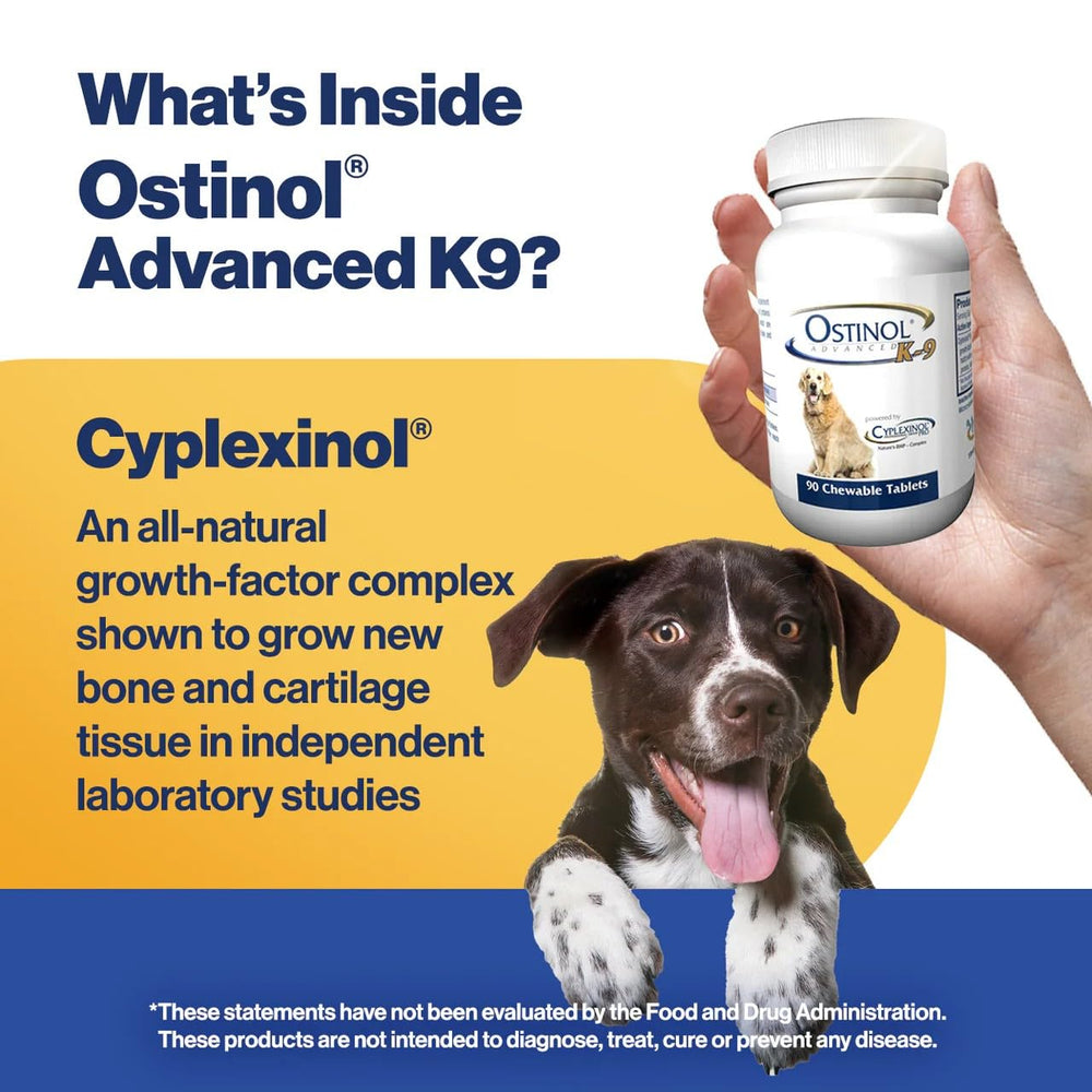 ZyCal Ostinol Advanced K-9 – arôme bœuf, texture agréable pour chiens.
