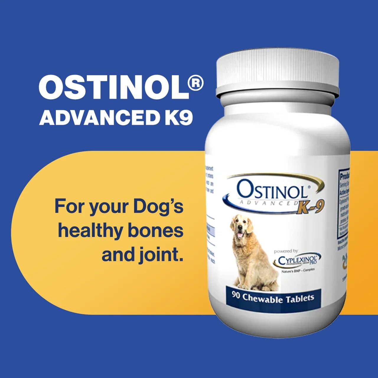 ZyCal Ostinol Advanced K-9 – chien senior bénéficiant d’un soutien articulaire.