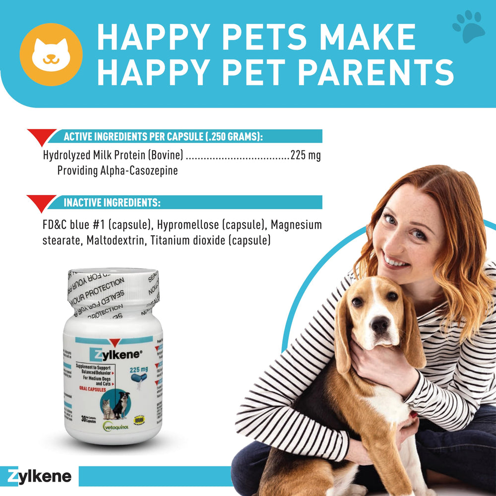 Capsules Zylkene ouvertes dans la nourriture du chien.