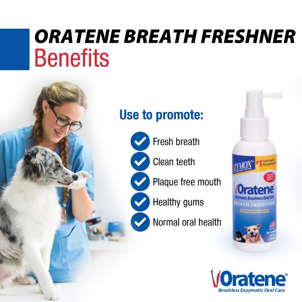Zymox Oratene : application sur dents et gencives, utilisation simple.