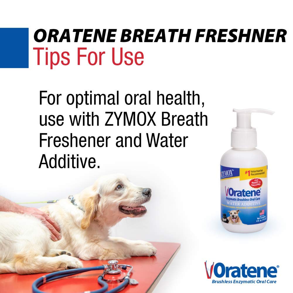 Zymox Oratene : utilisation sans brossage, pratique et rapide.