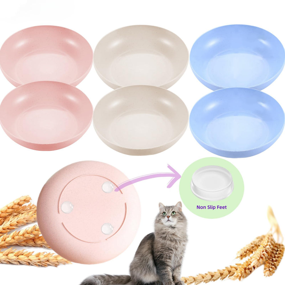 Bols ZYUTONG anti-glisse pour chats, ensemble de six, repas plus stables.
