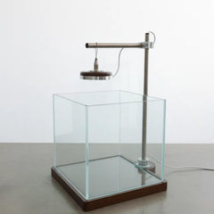 Aquarium nano ZZOFSWORM 8x8 avec base bois et LED pour un bureau apaisant