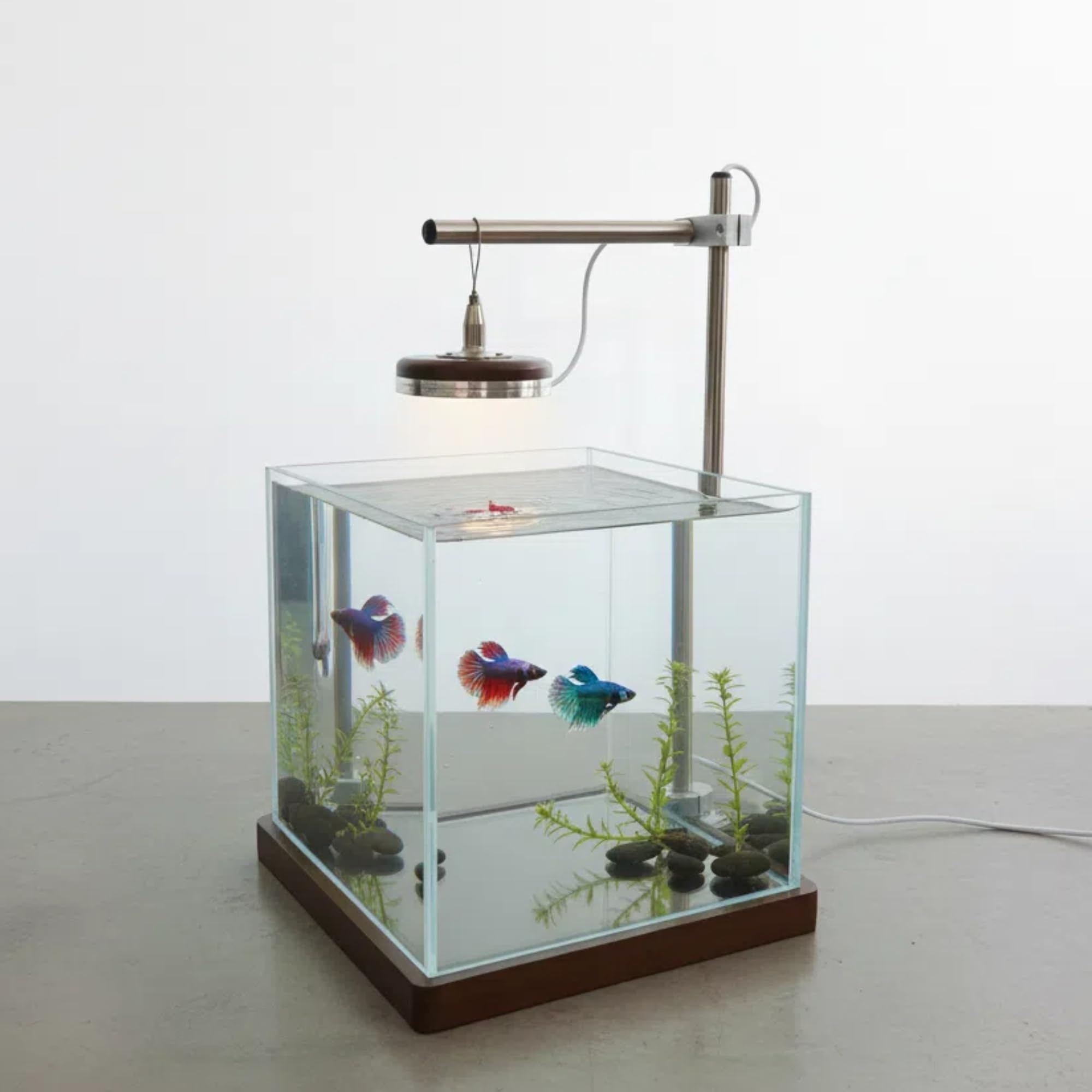 Aquarium nano en verre clair ZZOFSWORM, vue nette et durable