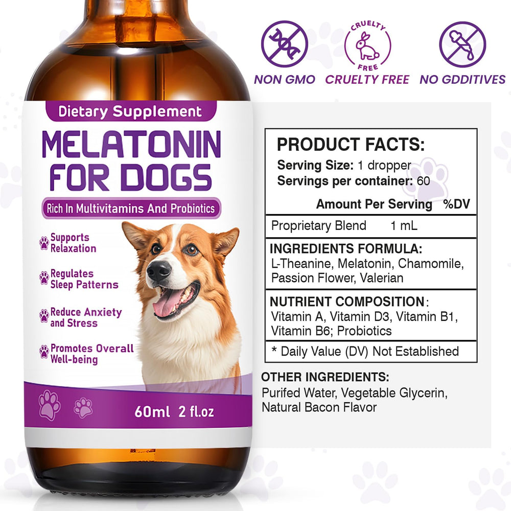 Chien calme lors orages ou trajets avec ZZTRMY mélatonine