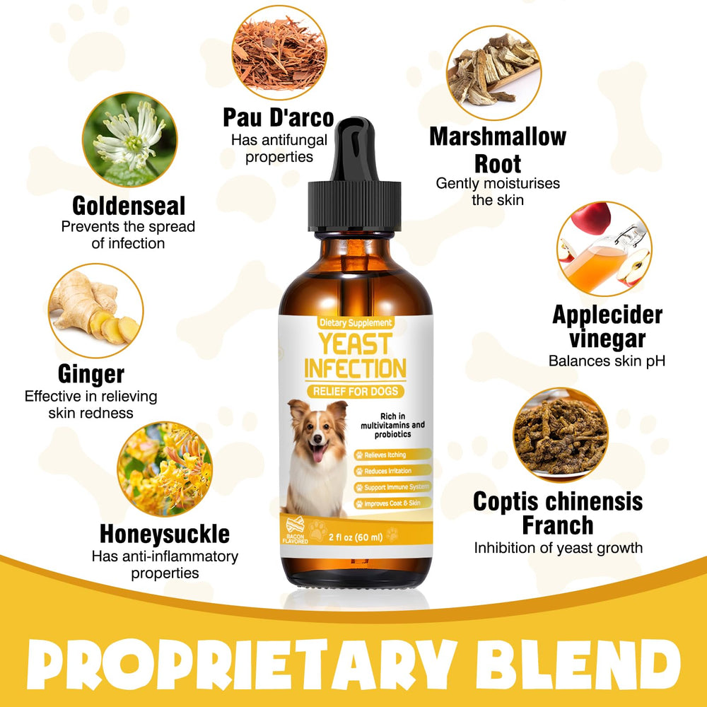 Gouttes Probiotiques ZZTRMY pour digestion équilibrée.