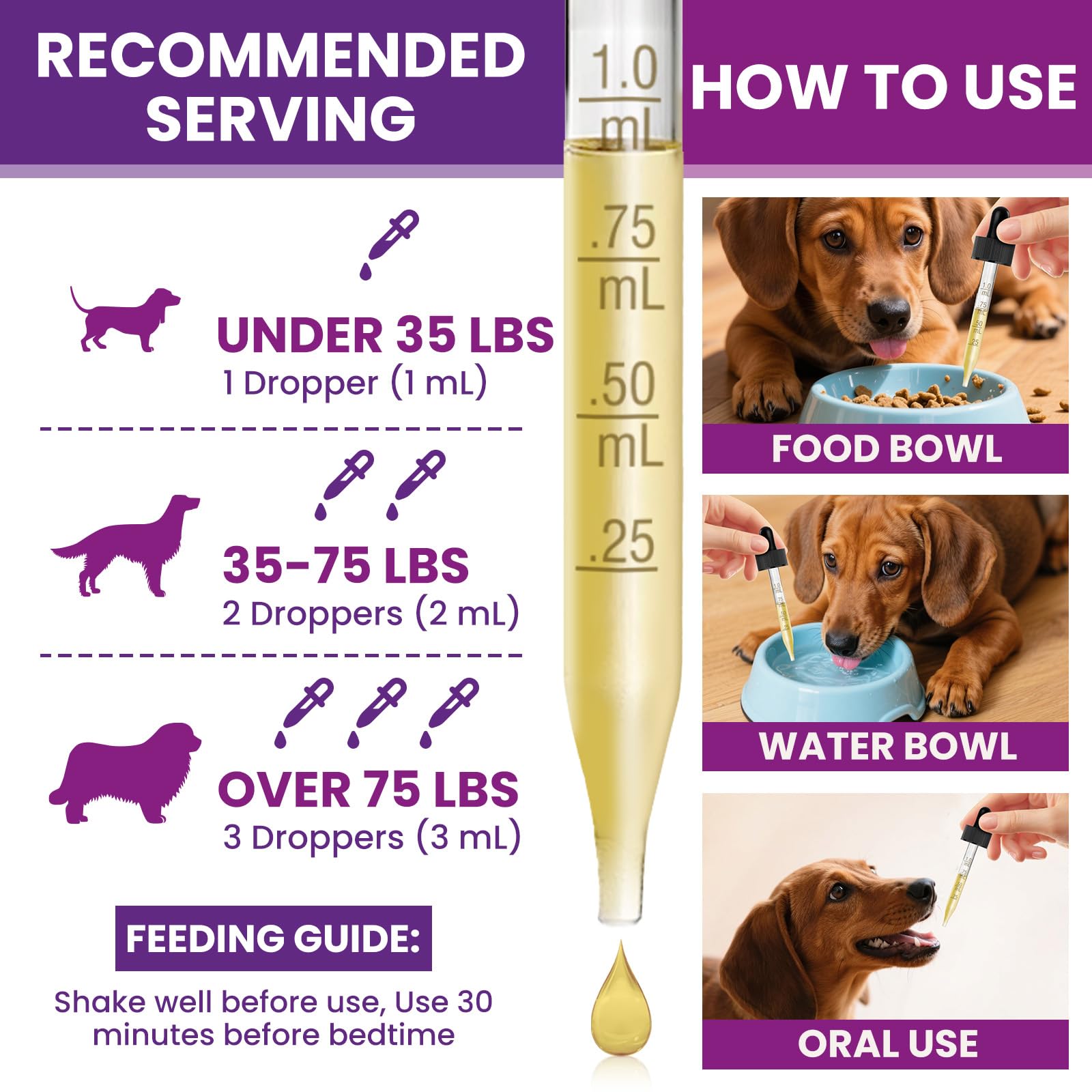 Ingrédients clés: vitamines et probiotiques au service du bien‑être de chien