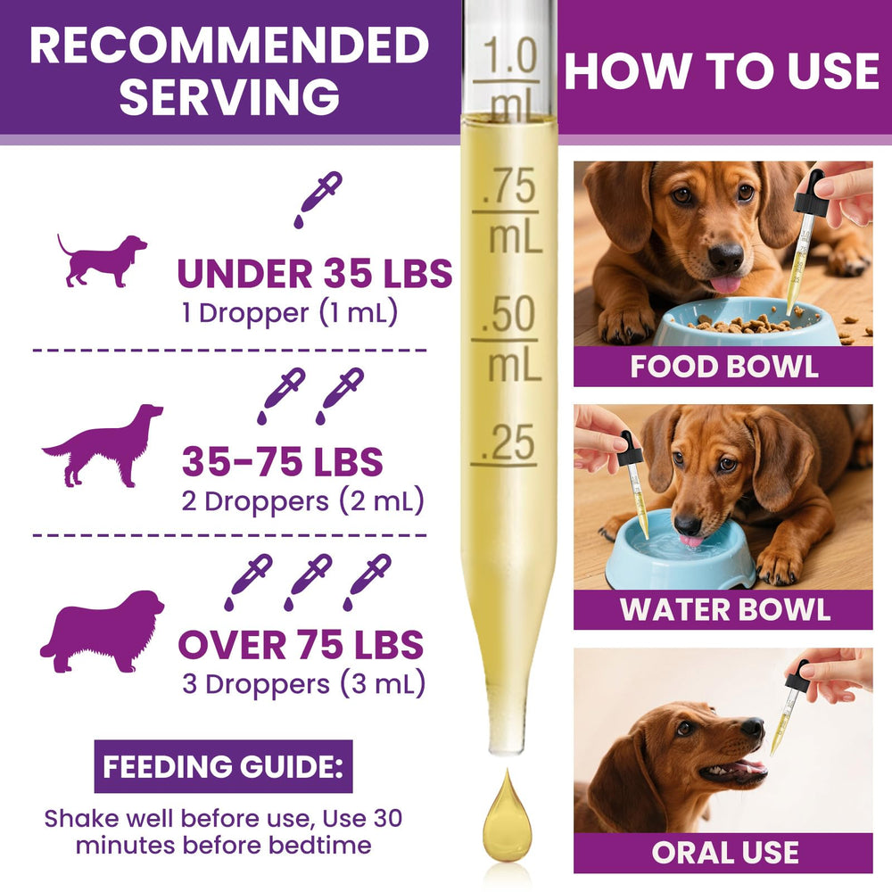 Ingrédients clés: vitamines et probiotiques au service du bien‑être de chien